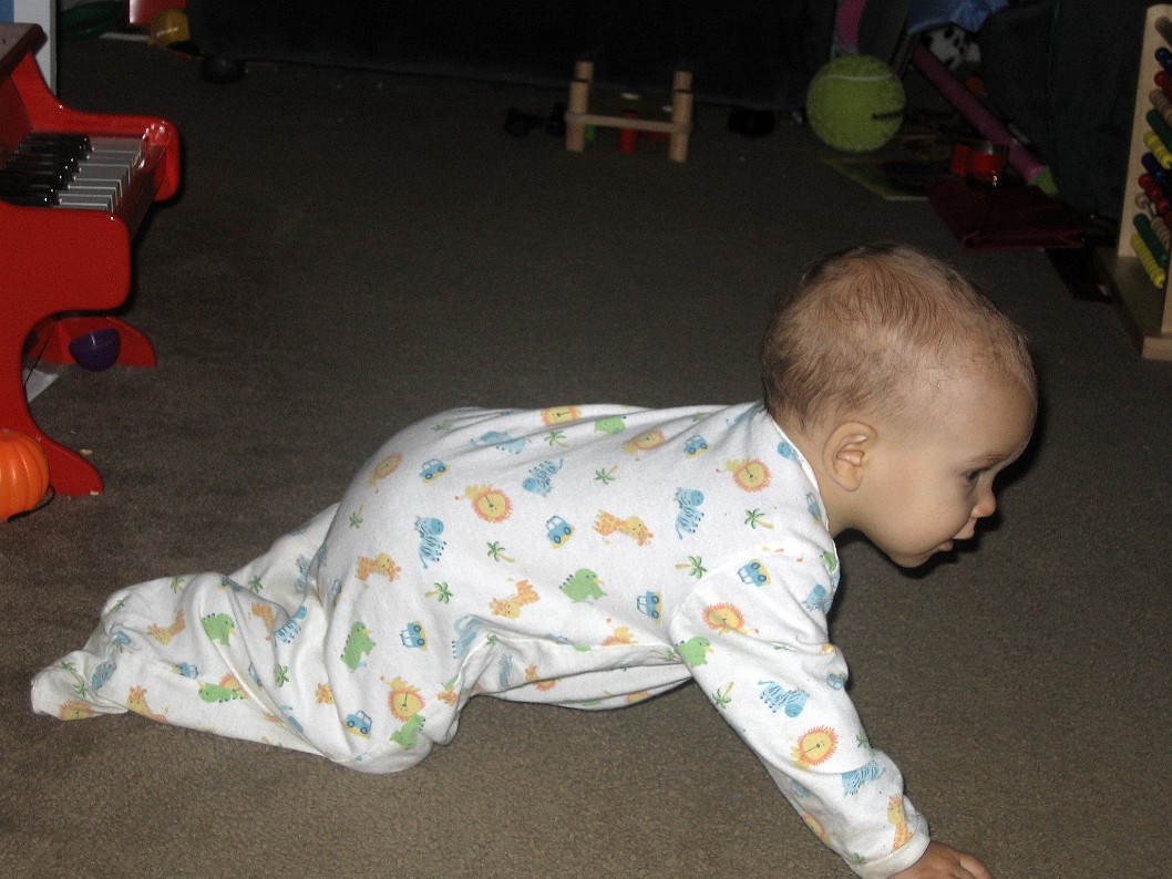 Crawling Quickly Crawling Quickly