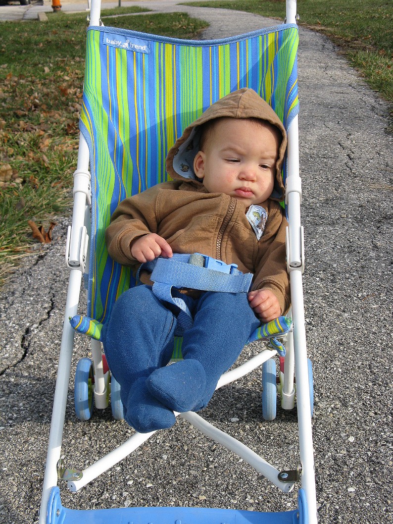 Chilling in His Little Stroller Chilling in His Little Stroller