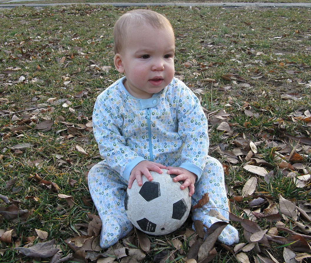 Amongst the Leaves With the Soccer Ball Amongst the Leaves With the Soccer Ball